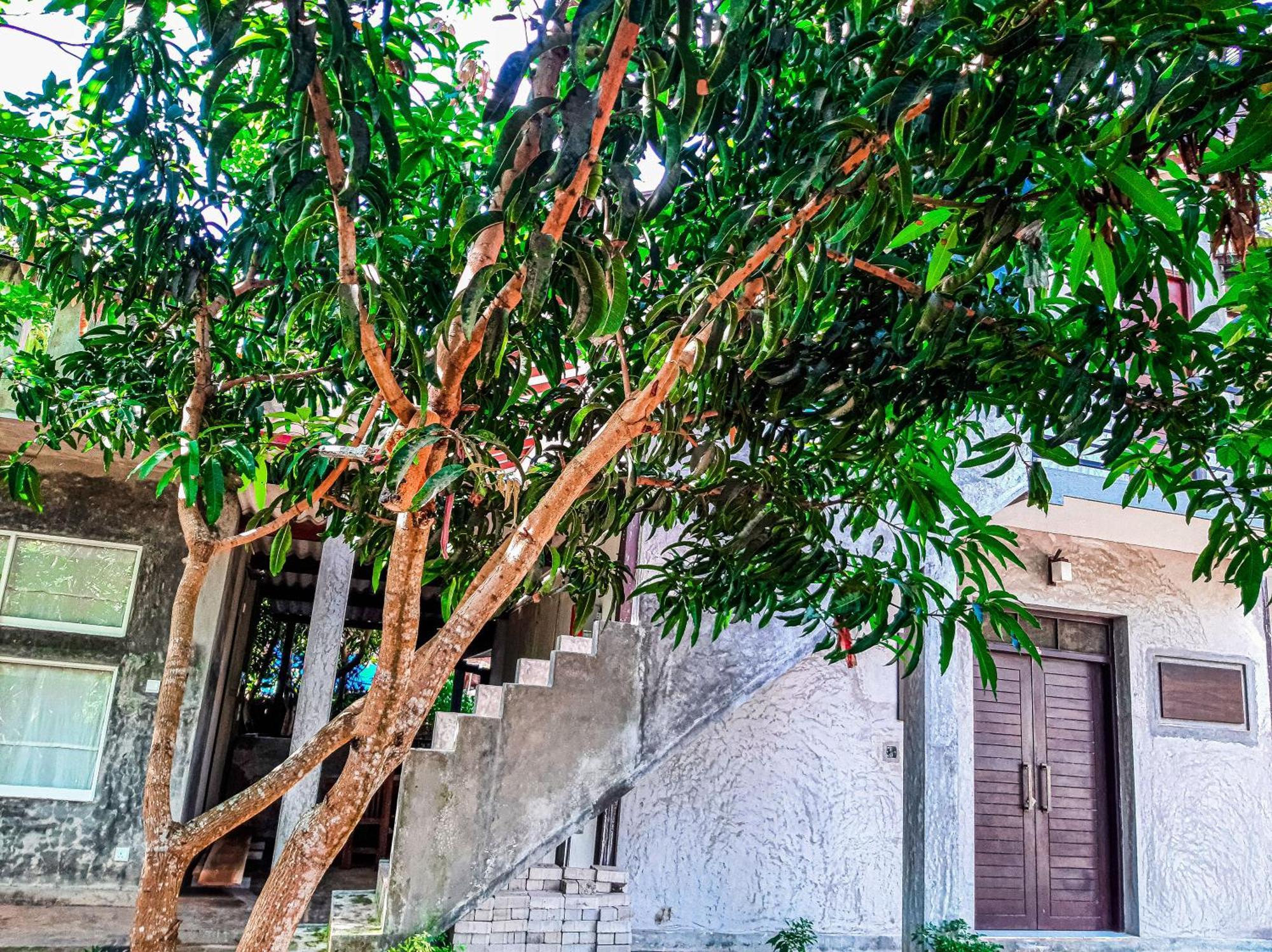 Dollyz Home - Sri Lanka Ambalangoda  Dış mekan fotoğraf